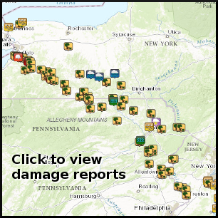 local storm reports