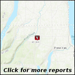 click for more reports