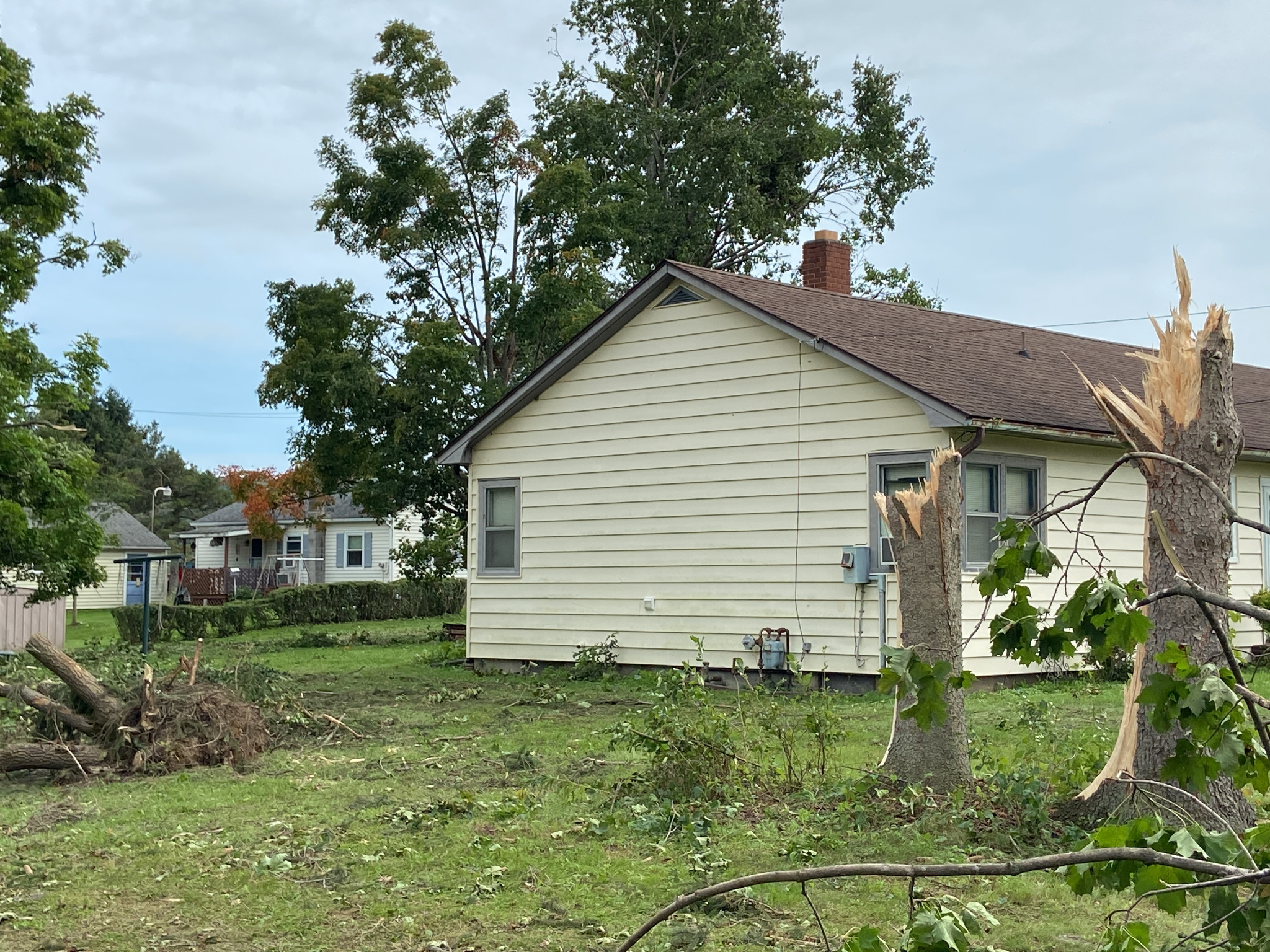 EF1 damage to houseand snapped trees.