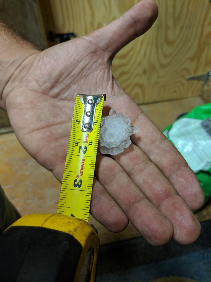 Hail 7 Miles West of Williston