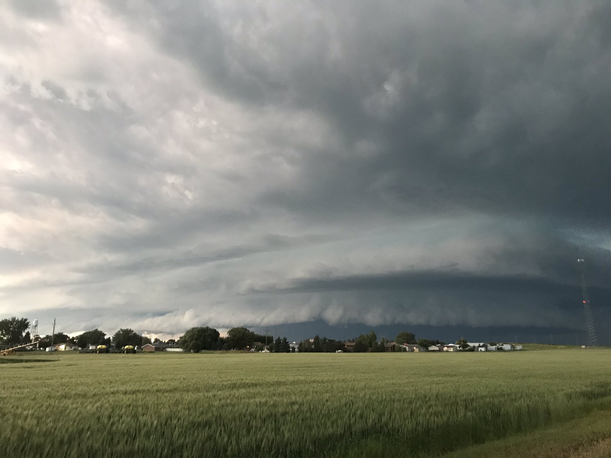 Mott Supercell