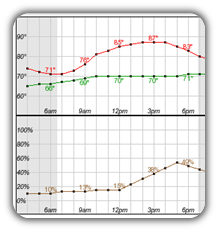 Hourly Forecasts