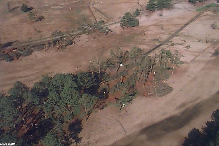 Areal shot of tree damage