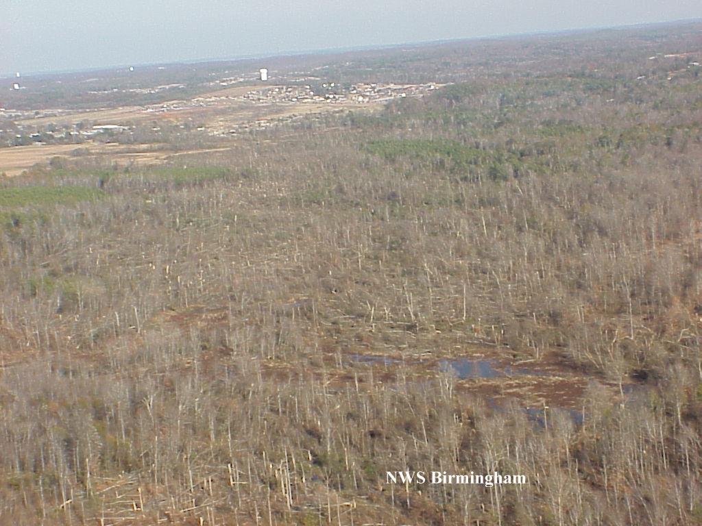 The start of the tornado damage path in Tuscaloosa County (NWS Birmingham)