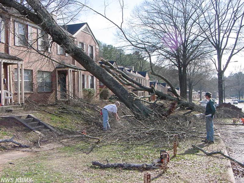 Damage to homes in the Homewood area. Click for a large image.