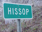 icing in the community of Hissop