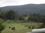 Calhoun Co. Damage