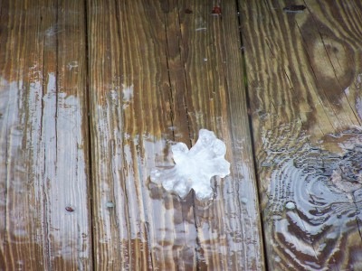 Bibb County Hail