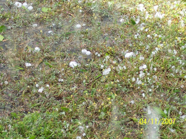 Demopolis Hail