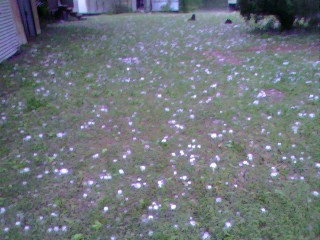 Russell Hail