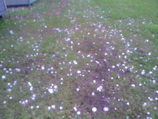 Russell Hail