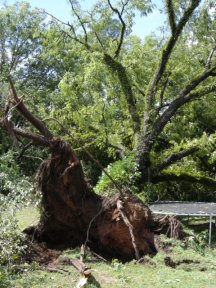 Tornado Image