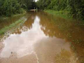 Minor Flooding