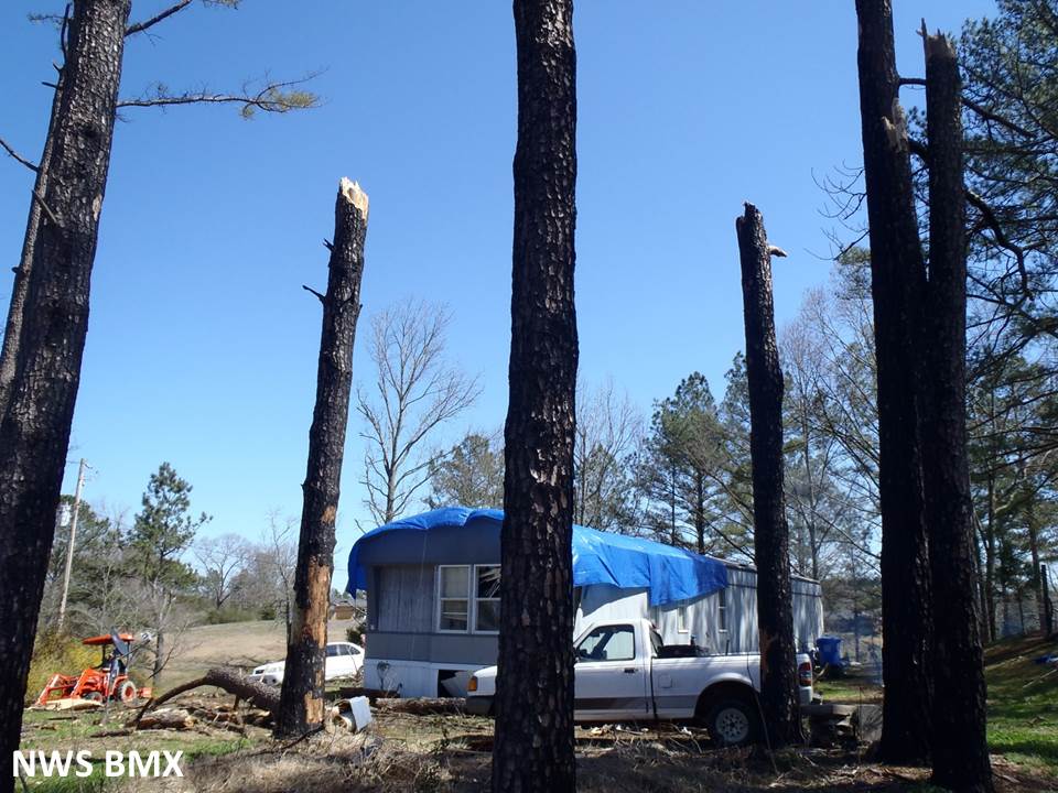 Storm Damage Image