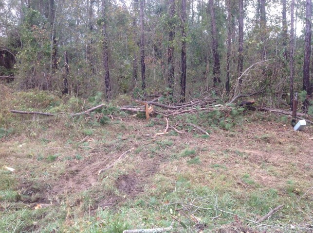 Storm Damage Image