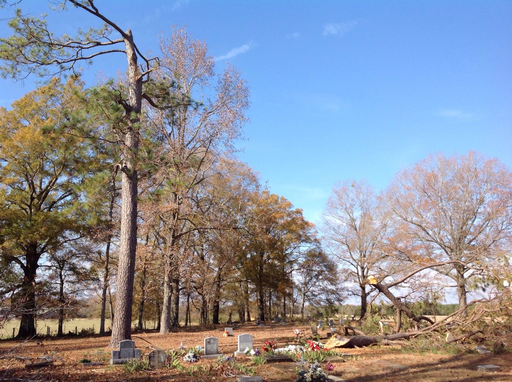 Storm Damage Image