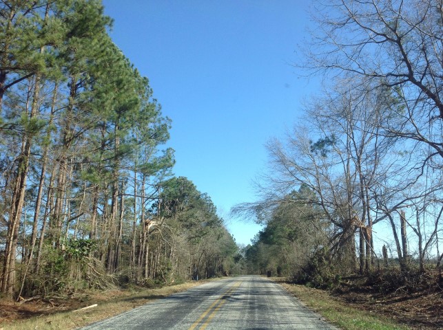 Storm Damage Image