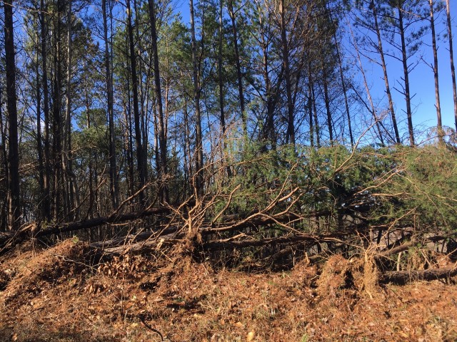 Damage Photo