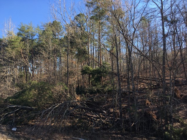 Damage Photo