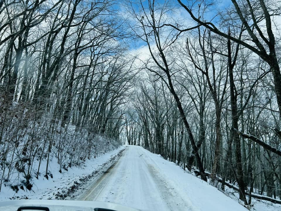 Snow Photo