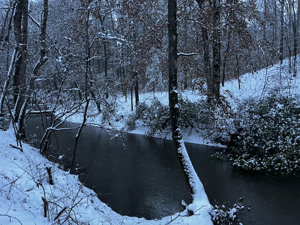 Snow Photo
