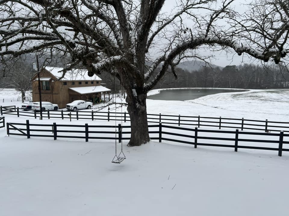 Snow Photo