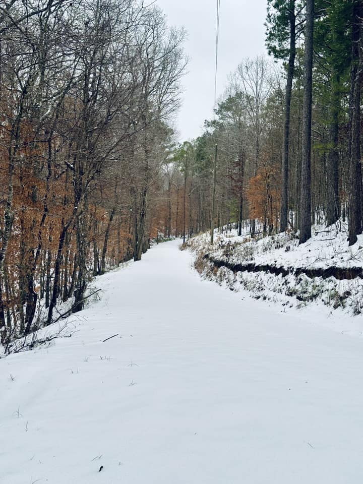 Snow Photo