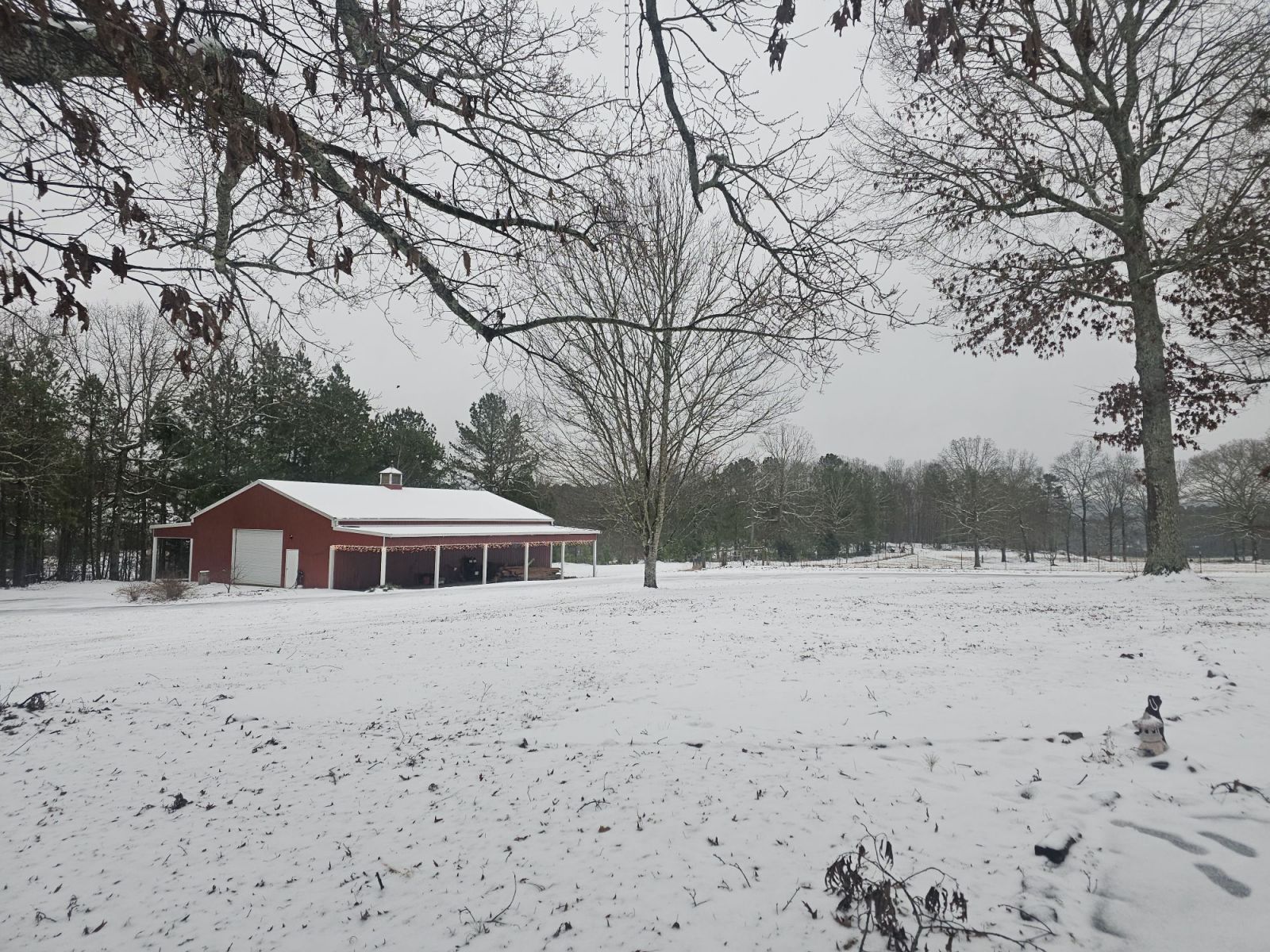 Snow Photo