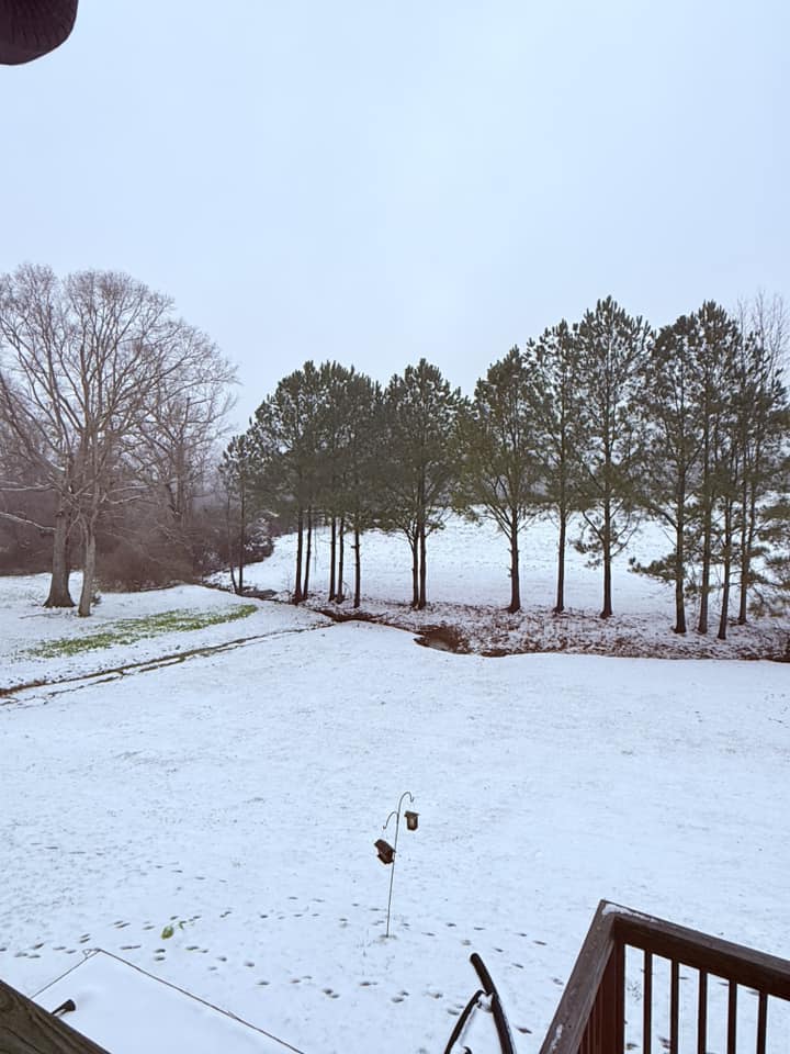 Snow Photo