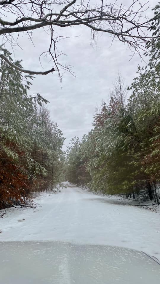 Snow Photo