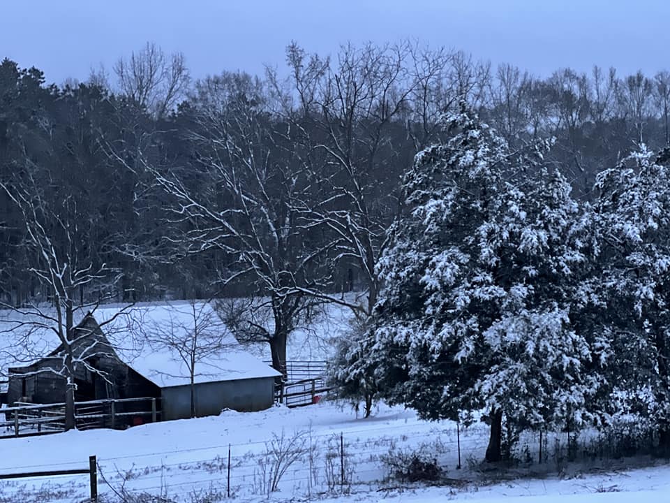 Snow Photo