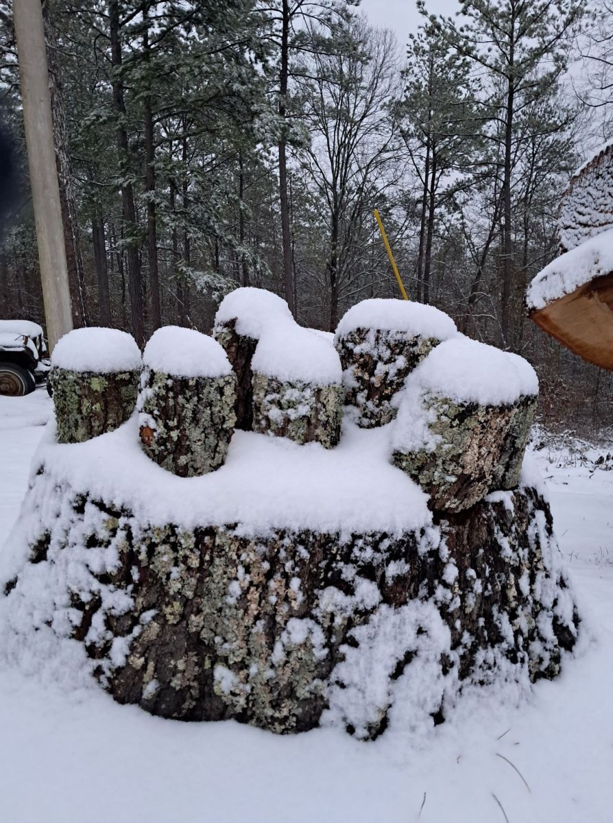 Snow Photo