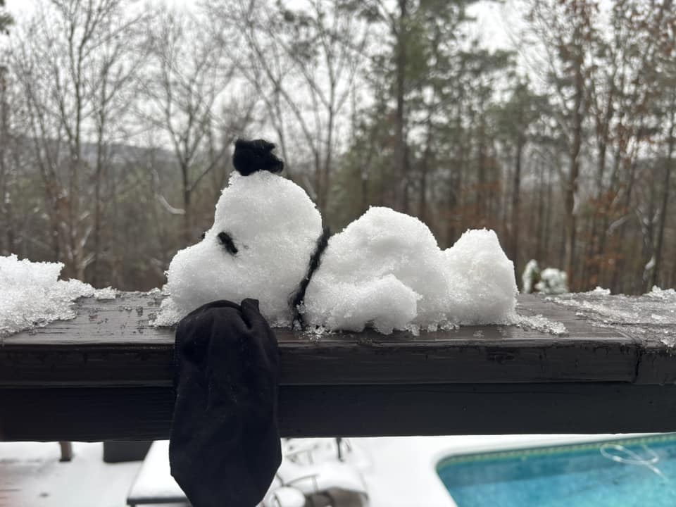 Snow Photo