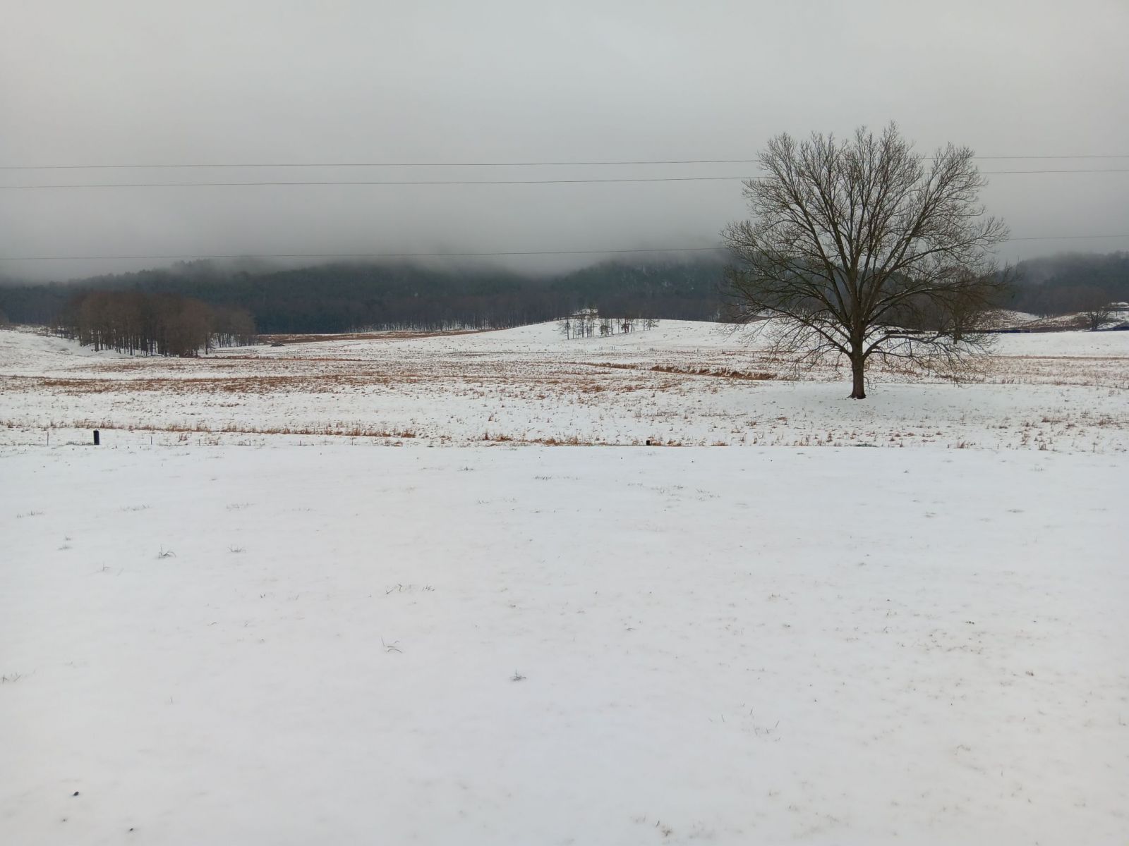Snow Photo