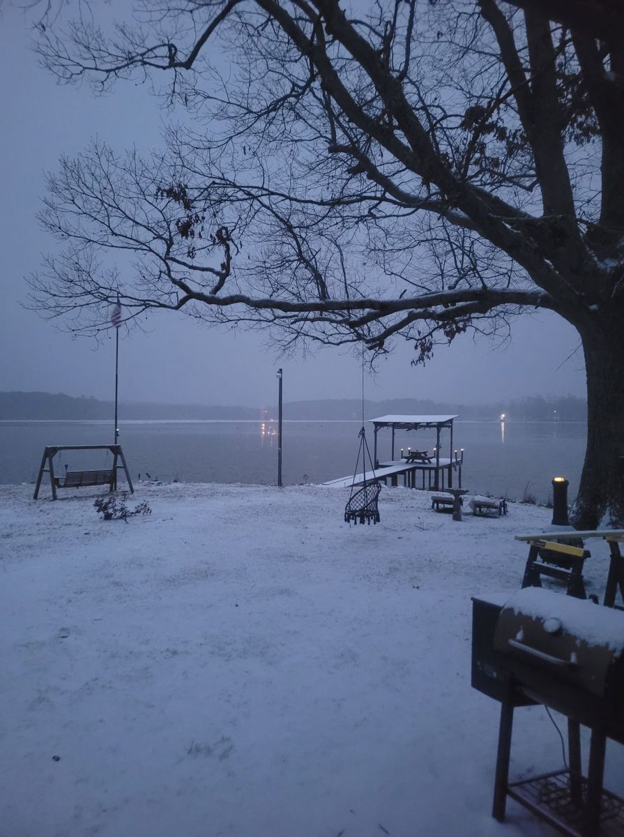 Snow Photo