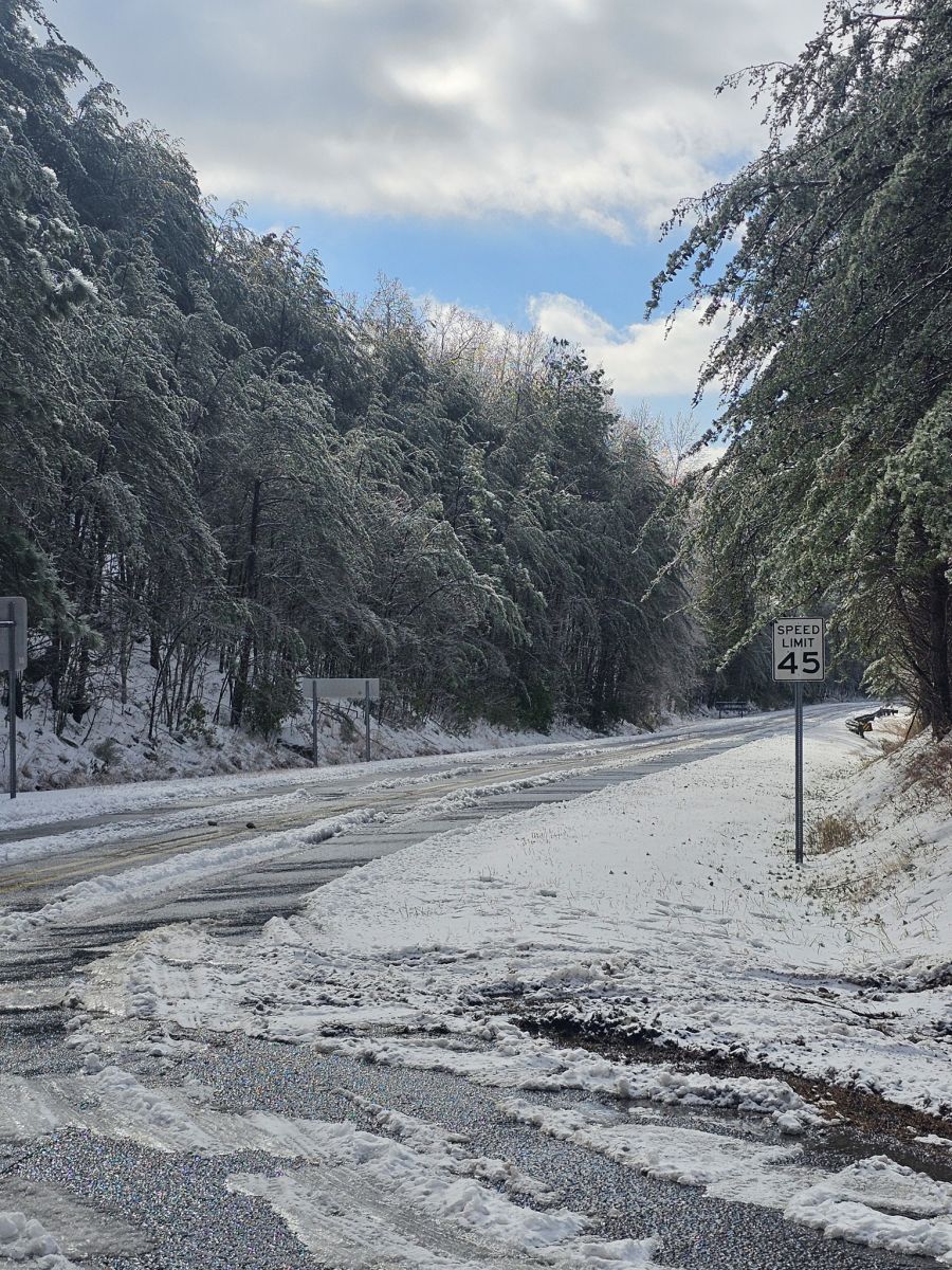 Snow Photo
