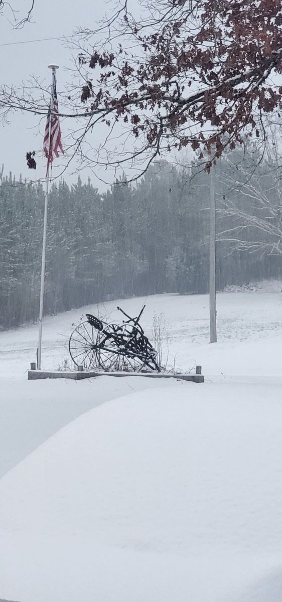 Snow Photo