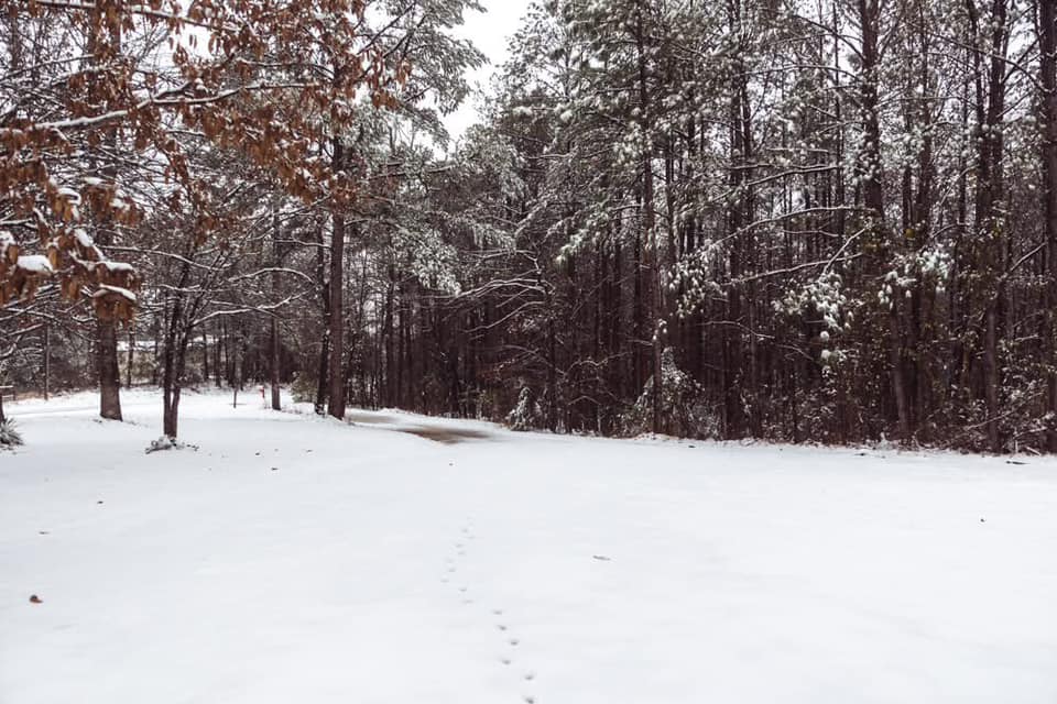 Snow Photo