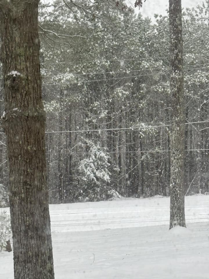 Snow Photo