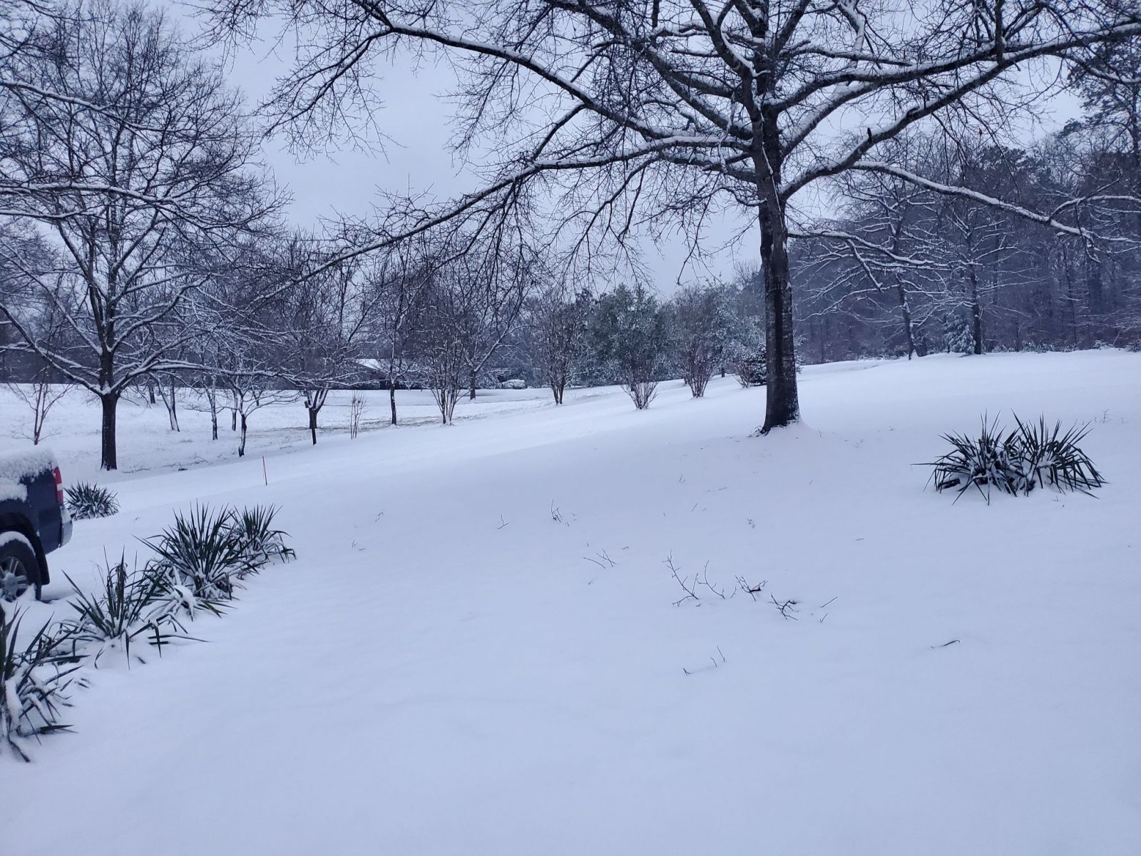 Snow Photo
