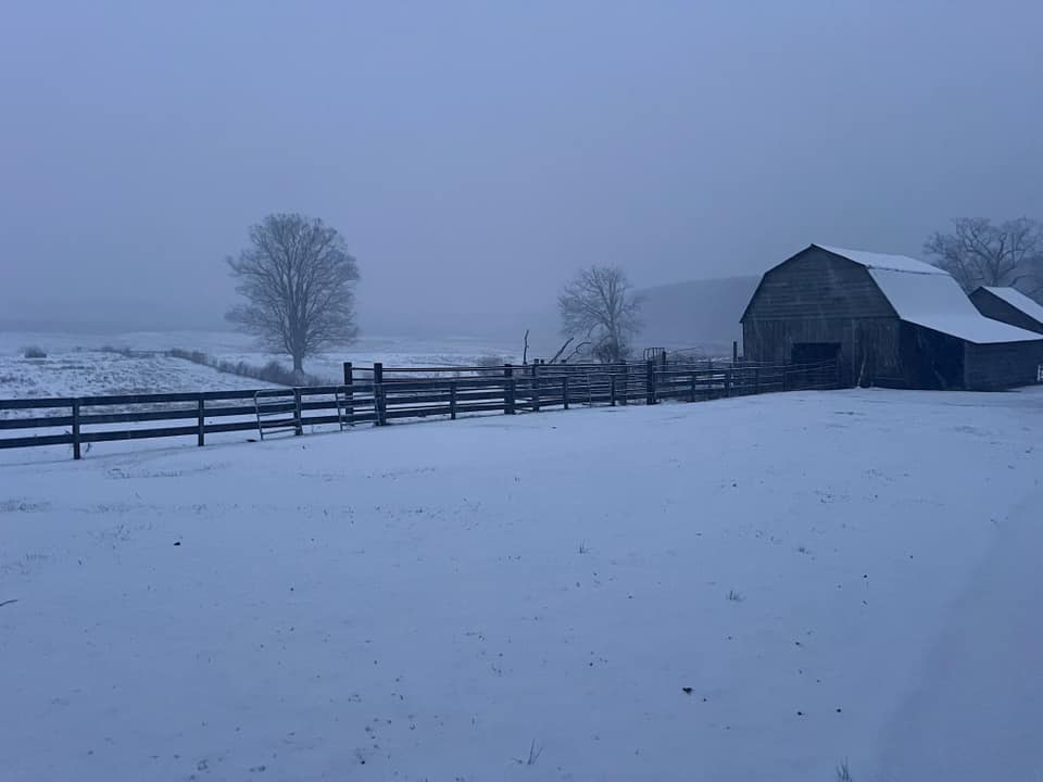 Snow Photo