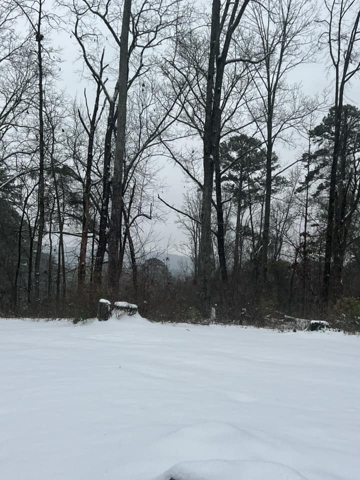 Snow Photo