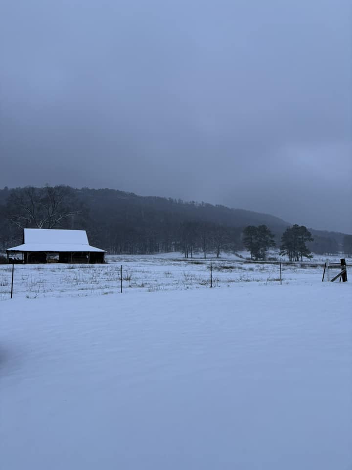 Snow Photo