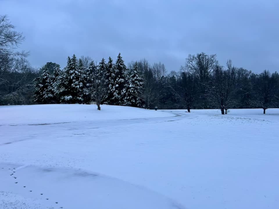 Snow Photo