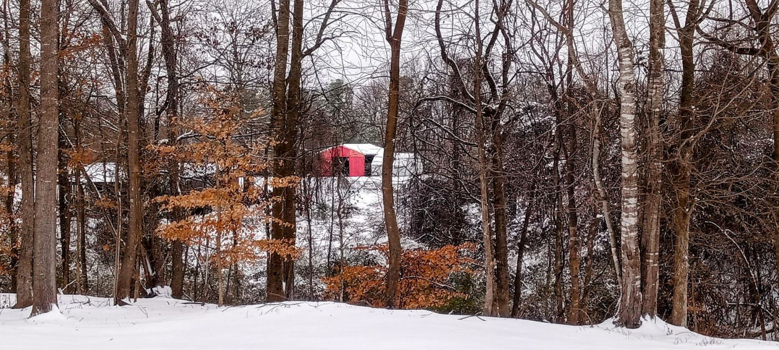 Snow Photo