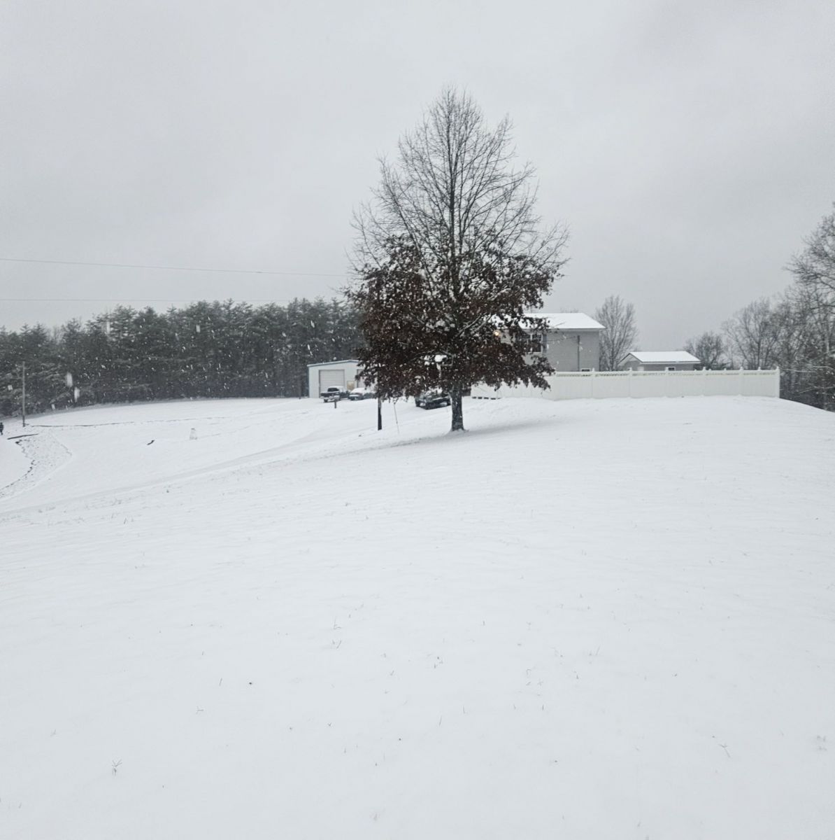 Snow Photo
