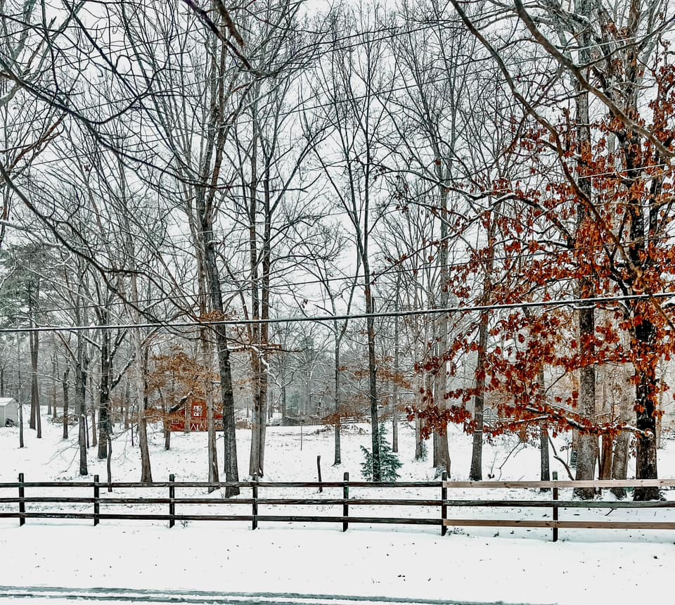 Snow Photo