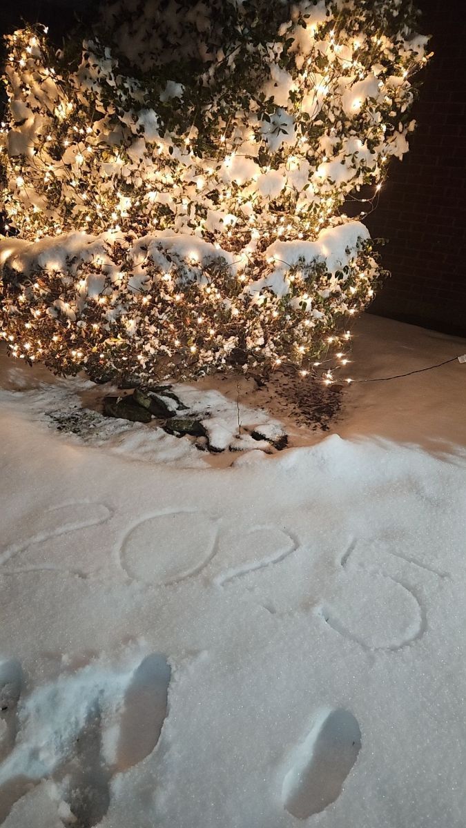 Snow Photo