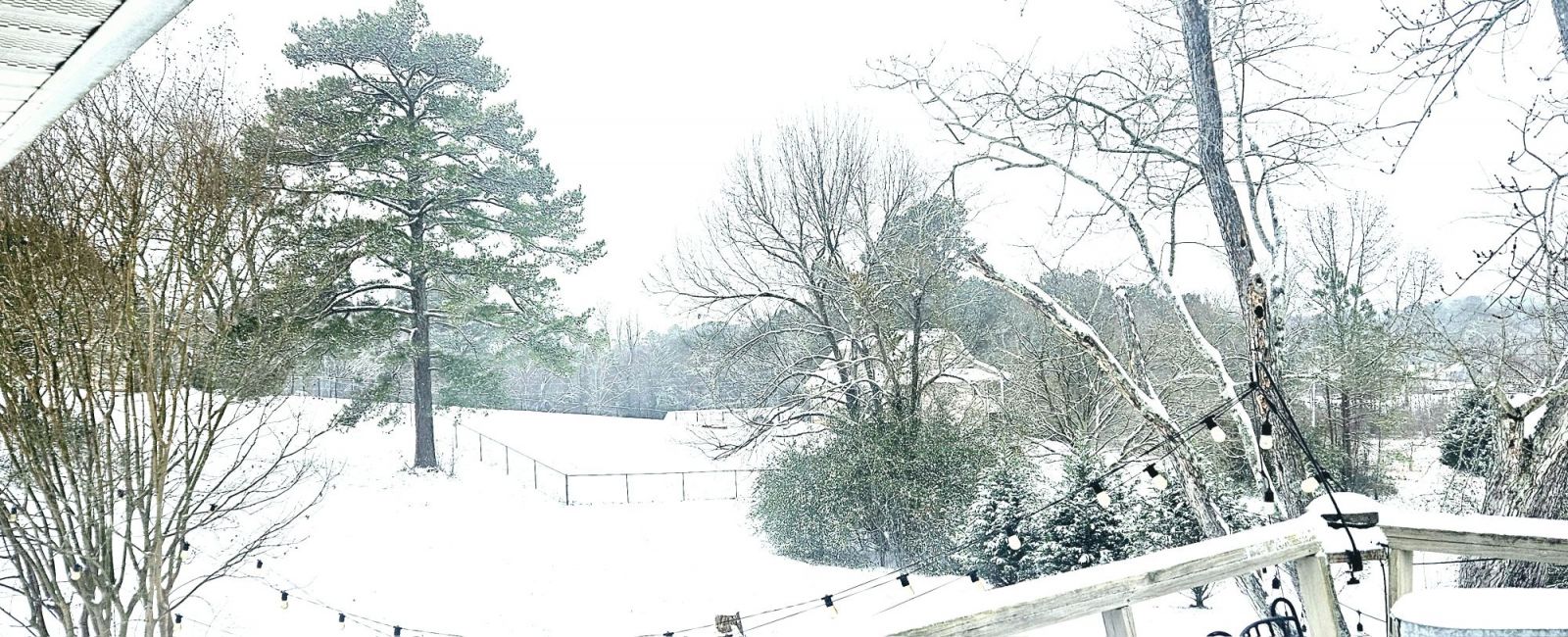 Snow Photo