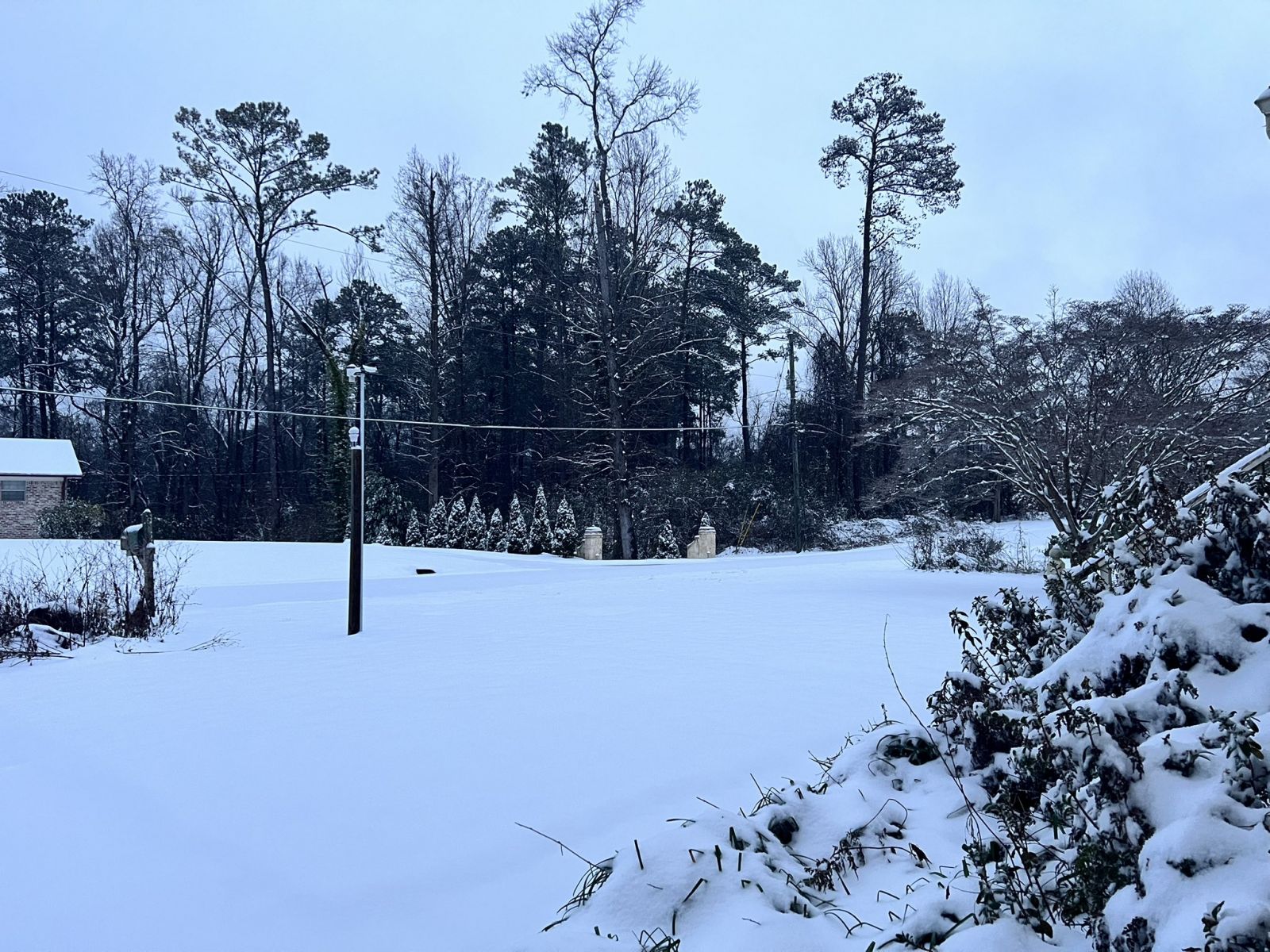 Snow Photo
